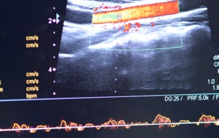 Maverick Medical Education