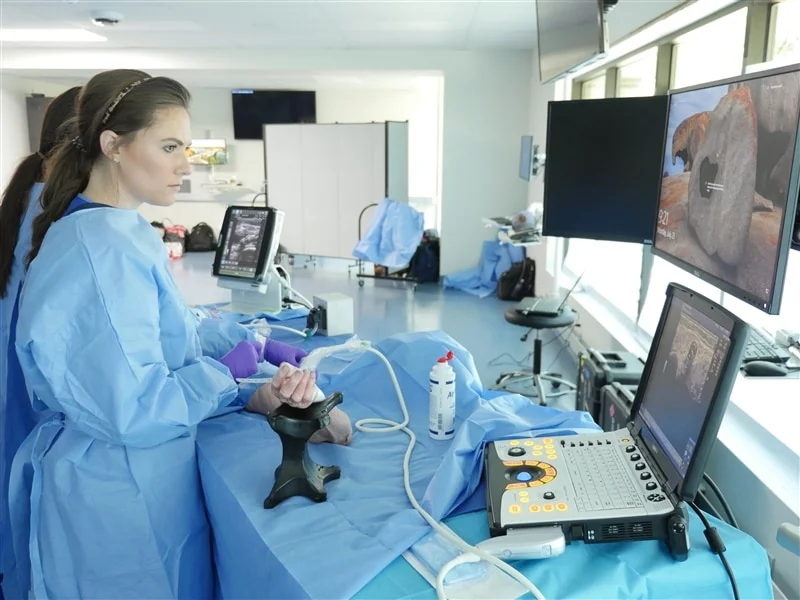 Maverick Medical Education