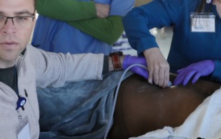 Maverick Medical Education