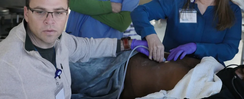 Maverick Medical Education