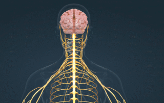 Image of Stellate Ganglion Block.