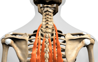 In person lab training with students.