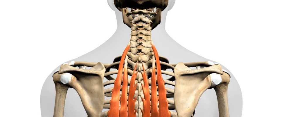 In person lab training with students.