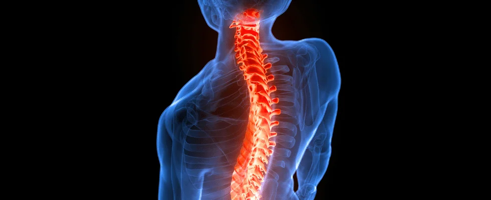 Maverick Medical Education