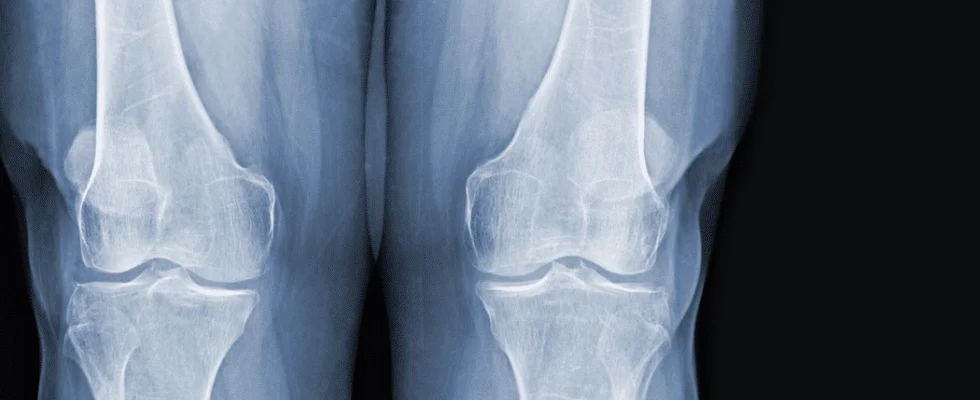 In person lab training with students.