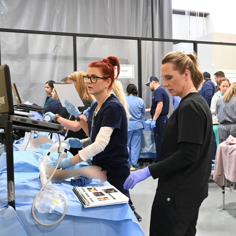 Maverick Medical Mastering Regional Anesthesia Techniques at in location lab.